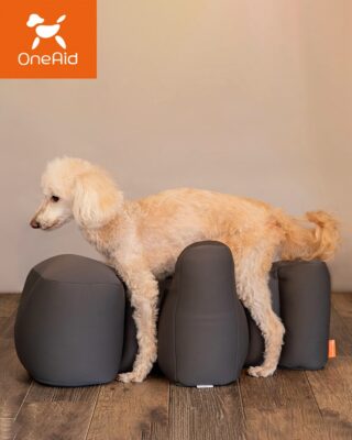 WDCC　わんわん物語　台座 ディズニー 世界5000枚限定 わんわん物語 レリーフプレート 3D 飾り皿